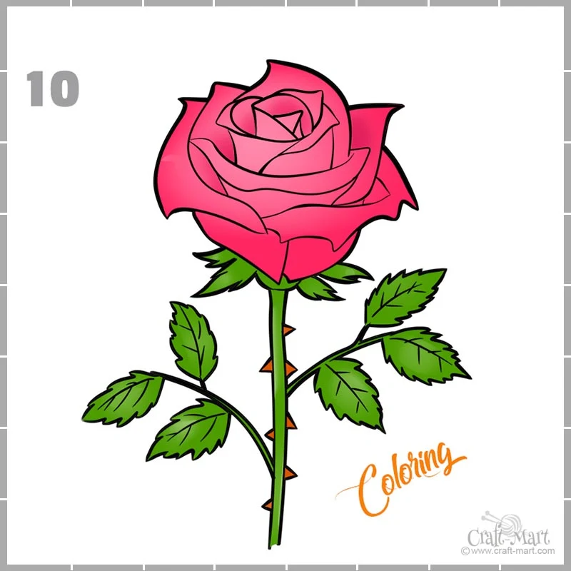 finishing drawing of a rose by coloring the rose's petals, stem, and leaves