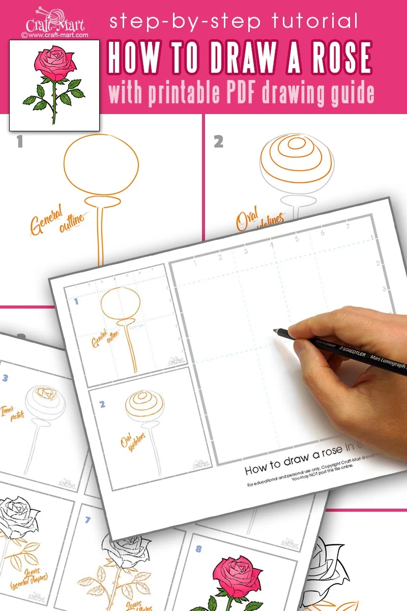 how to draw a easy rose step by step with pencil