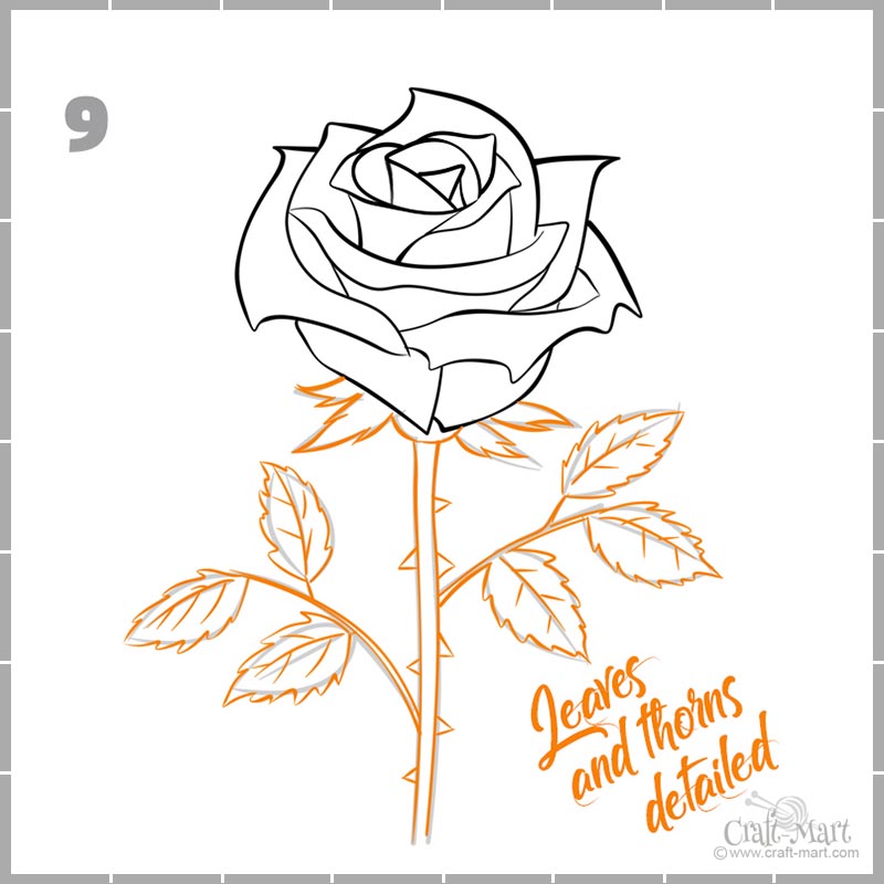 Roses Sketch Vector Hd Images, Rose Leaves Sketch, Rose Drawing, Leaves  Drawing, Rose Sketch PNG Image For Free Download