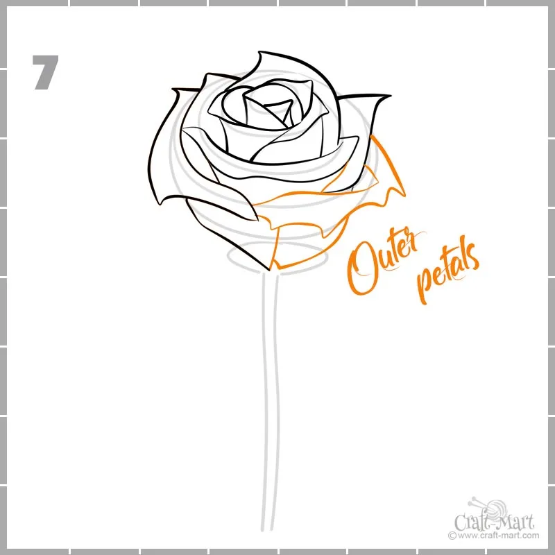 how to draw a rose bud petals