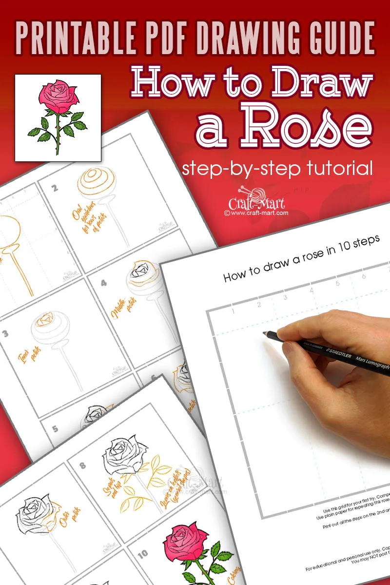 rose drawing step-by-step printable guide for beginners