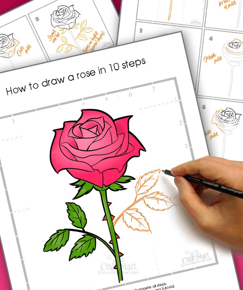 How to Draw a Rose: A Step by Step Guide