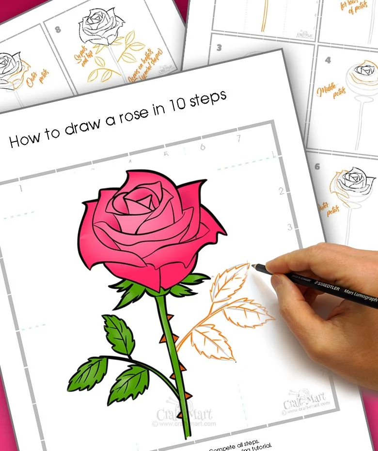 how to draw a rose flower tutorial