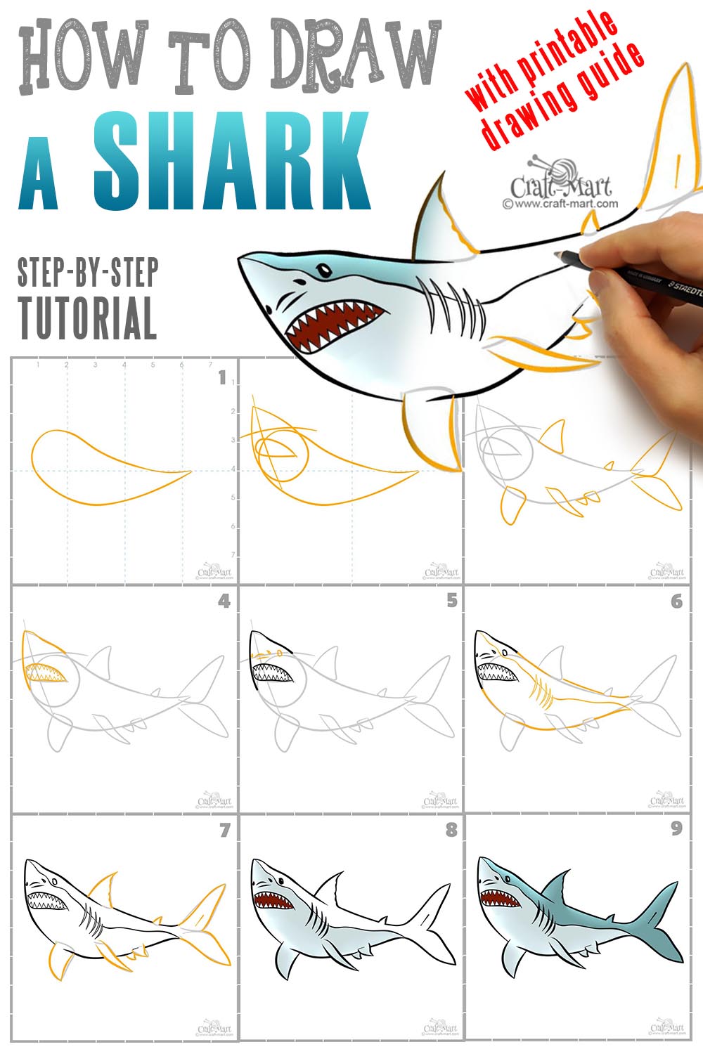 Learn how to draw a shark in 9 easy steps
