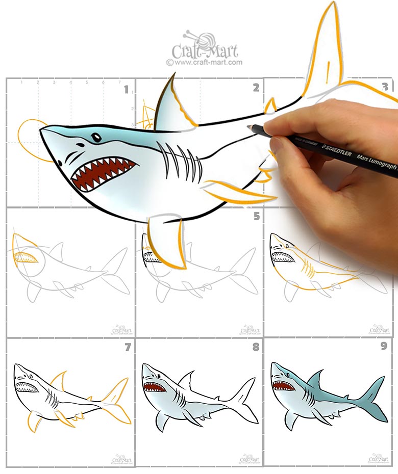 how to draw a shark step by step