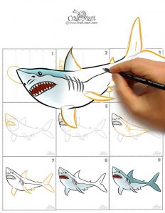 how to draw a shark