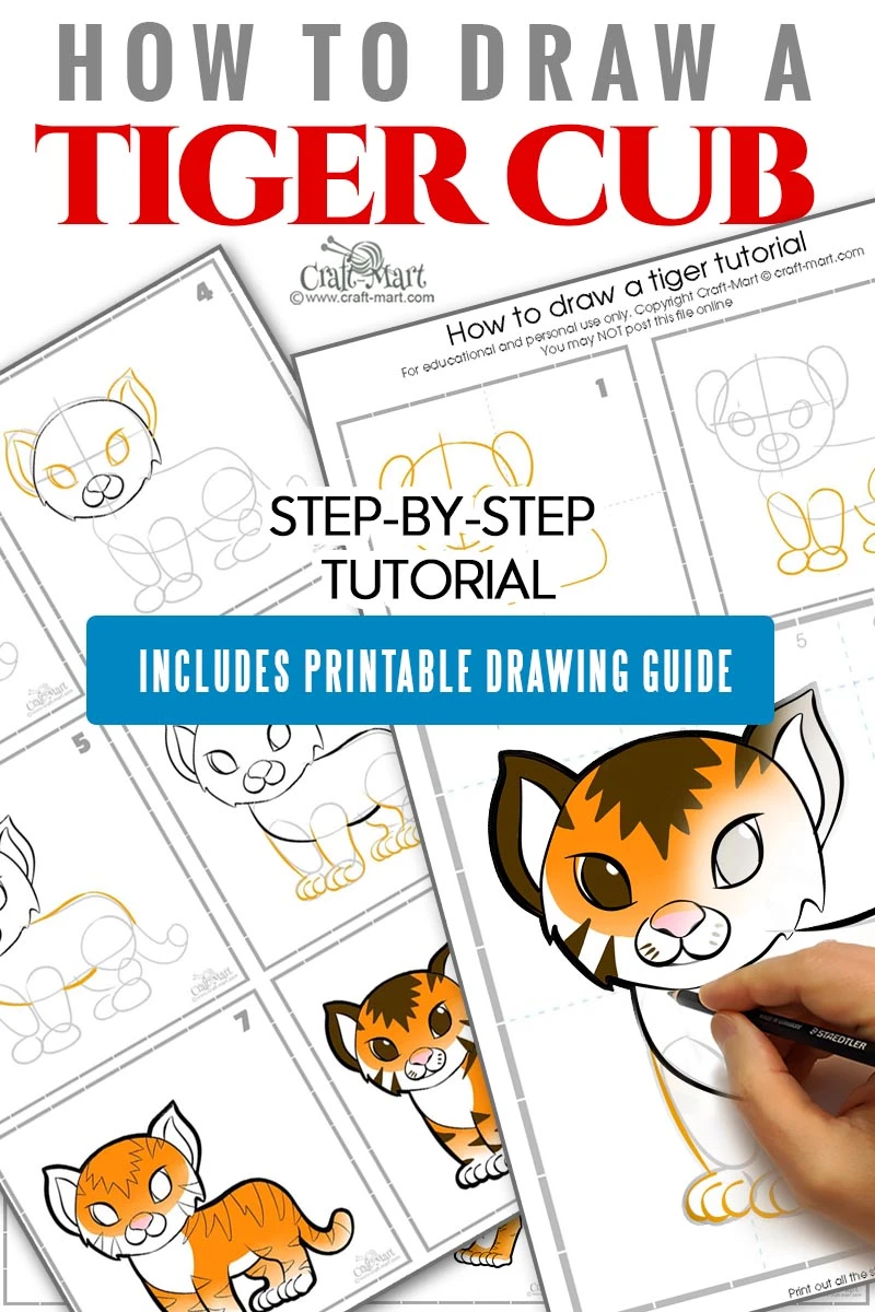 how to draw a tiger cub easy step by step