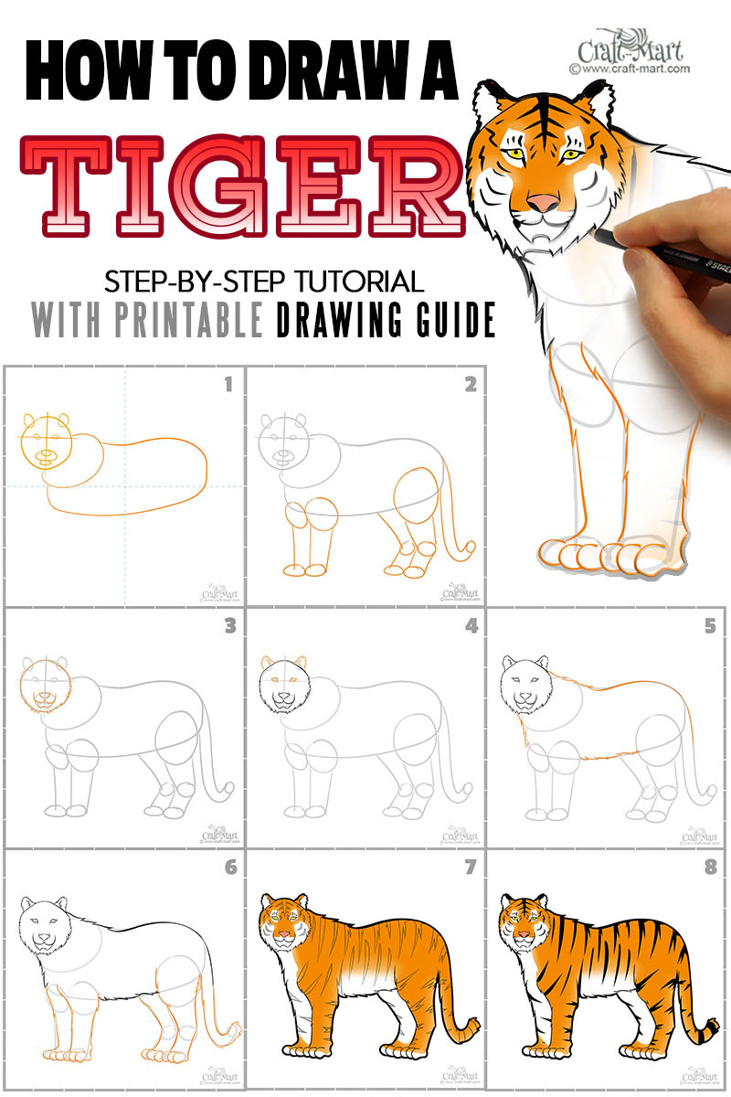 how to draw a cute tiger step by step