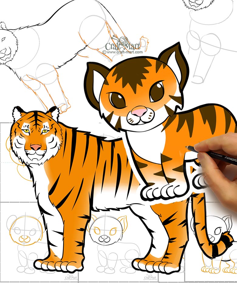how to draw a tiger and a tiger cub step-by-step