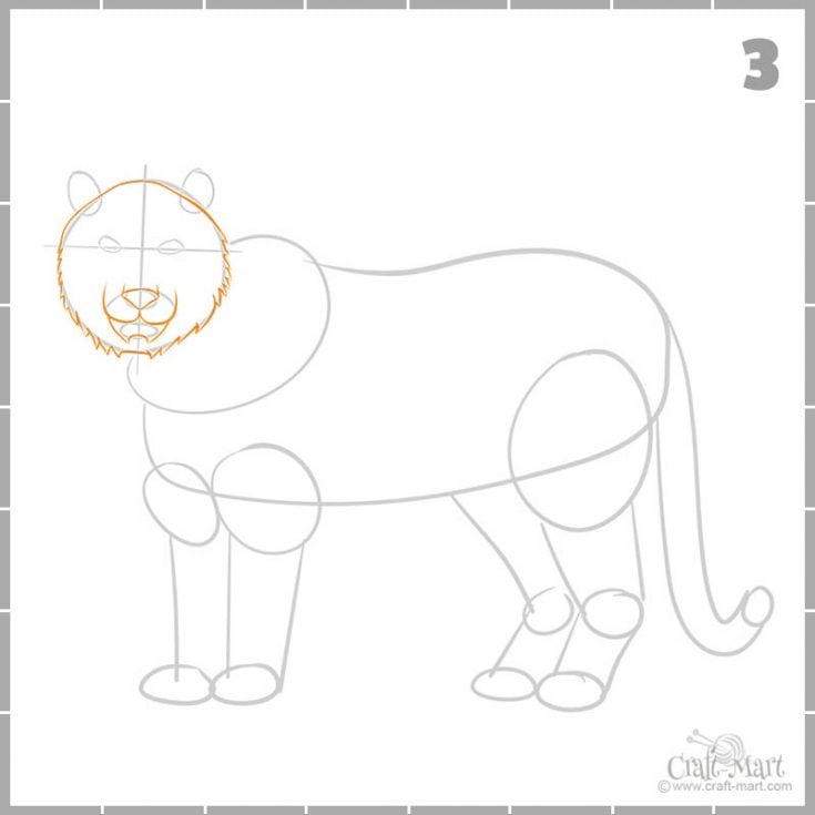Blue Tiger Drawing Tutorial 208-how-to-draw-a-tiger-3 - Craft-Mart
