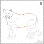 How to create a nice drawing of a tiger for beginners - Craft-Mart