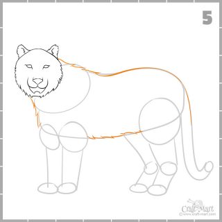How to create a nice drawing of a tiger for beginners - Craft-Mart