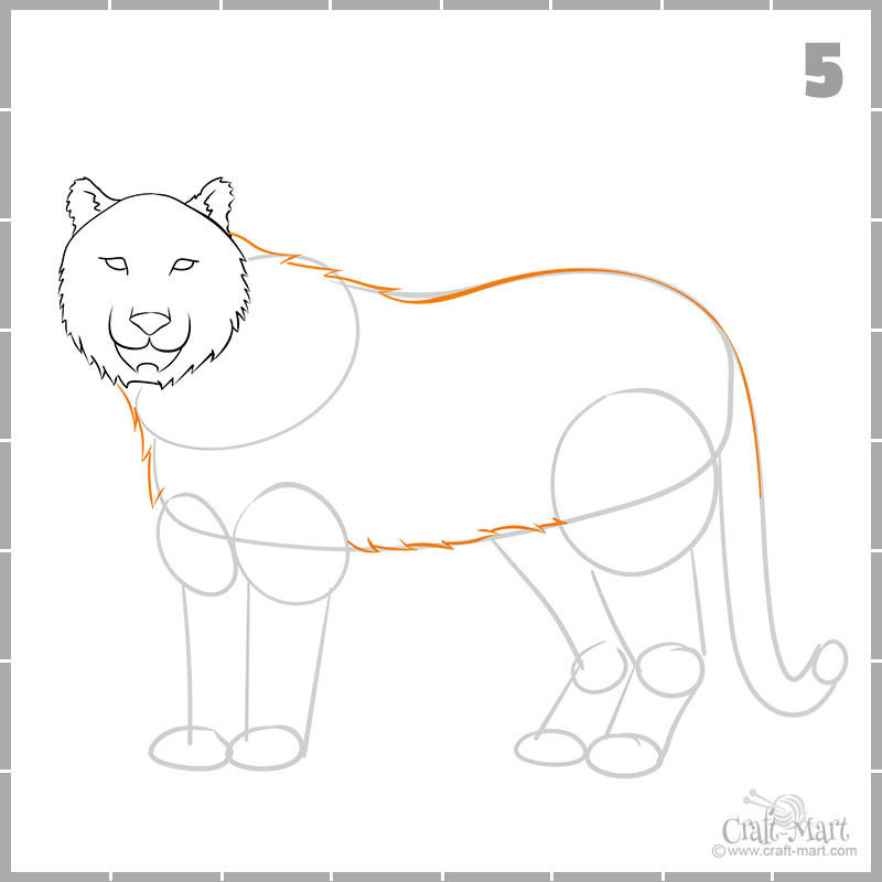 drawing of tiger's torso