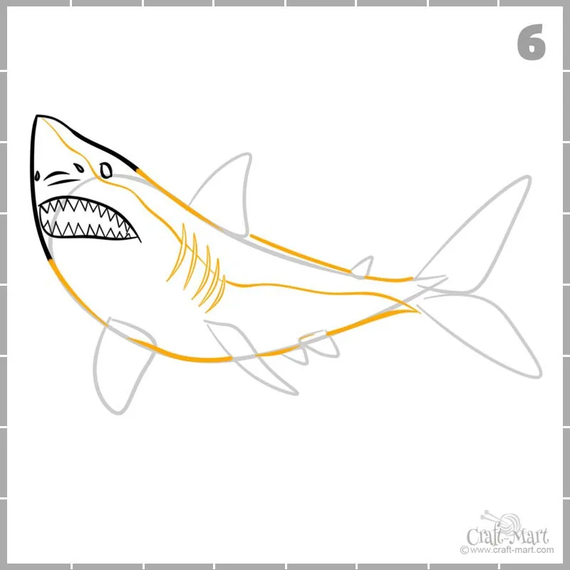 Learn how to draw shark's body and gills