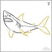 How to draw a shark in 9 easy steps - Craft-Mart