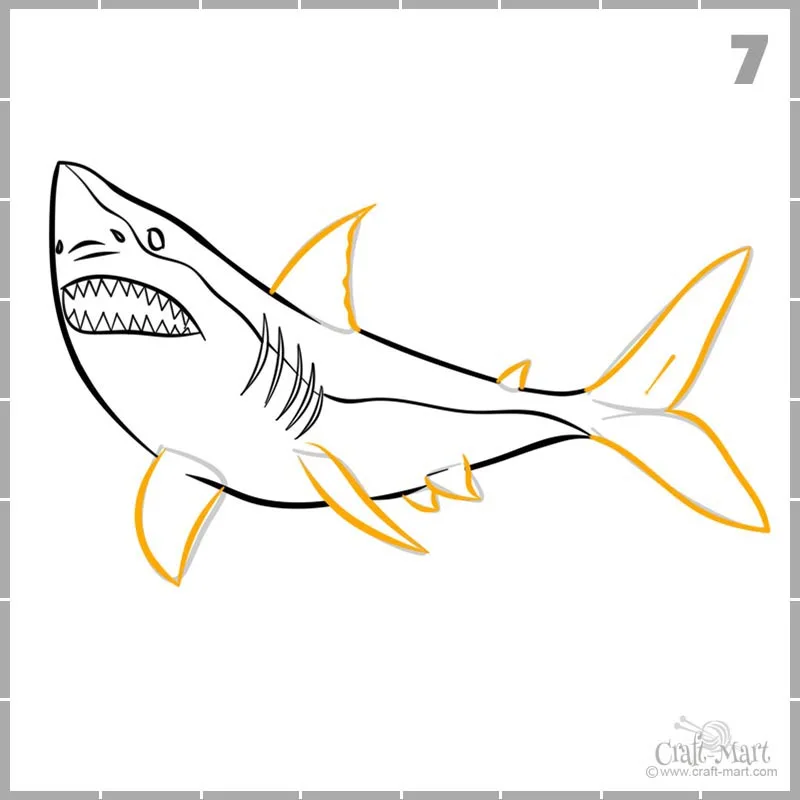 Learn how to draw shark's fins and tail