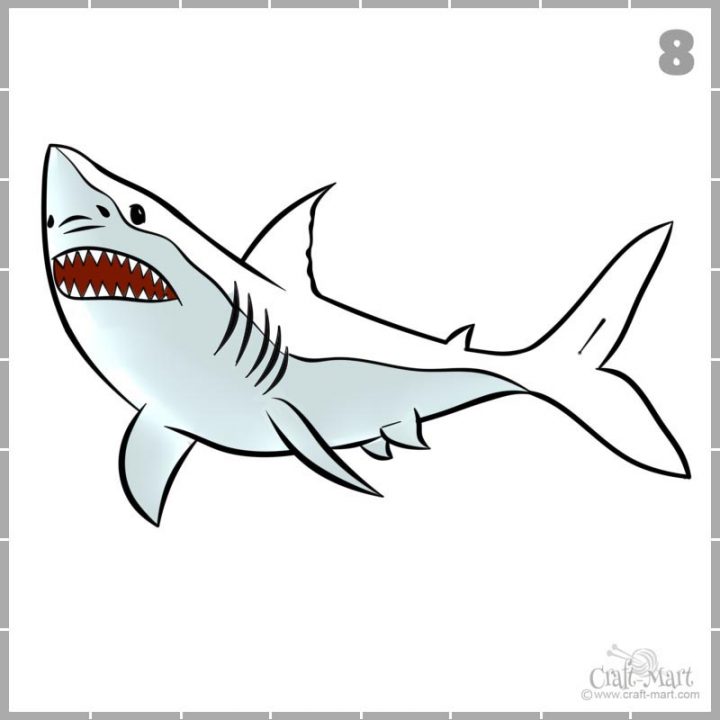 How to draw a shark in 9 easy steps - Craft-Mart