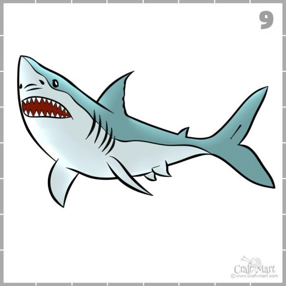 How to draw a shark in 9 easy steps - Craft-Mart