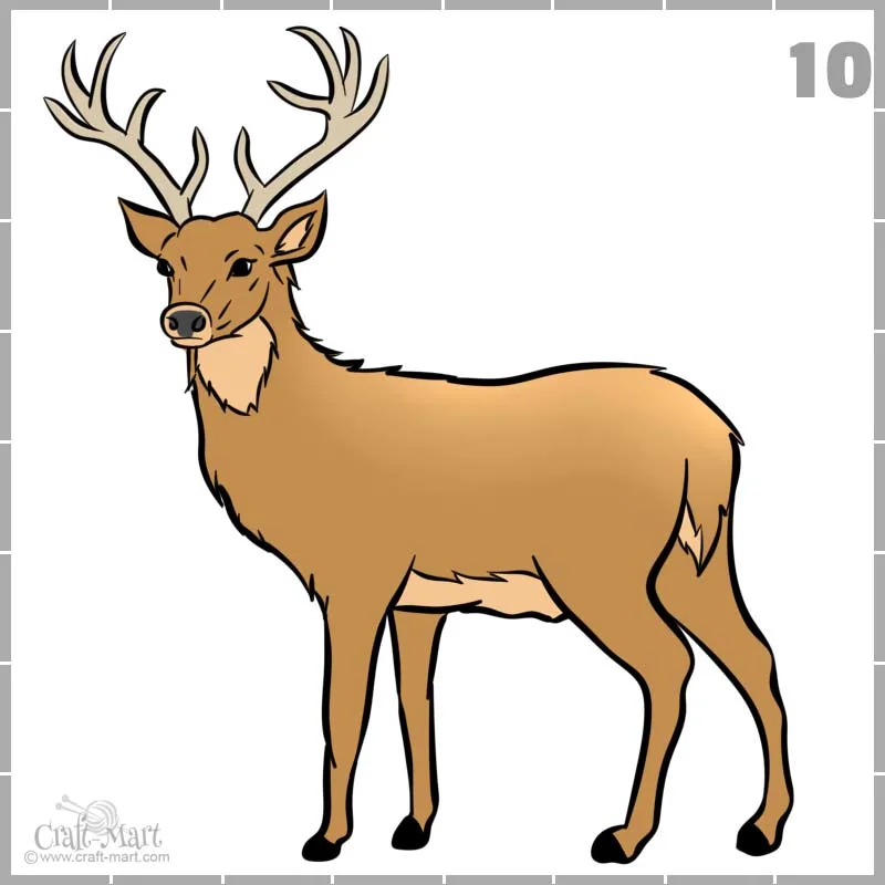 final drawing of a deer