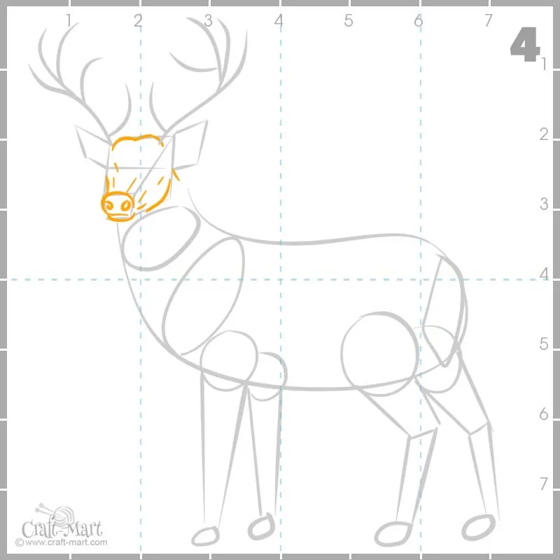 How to draw details on deer's face
