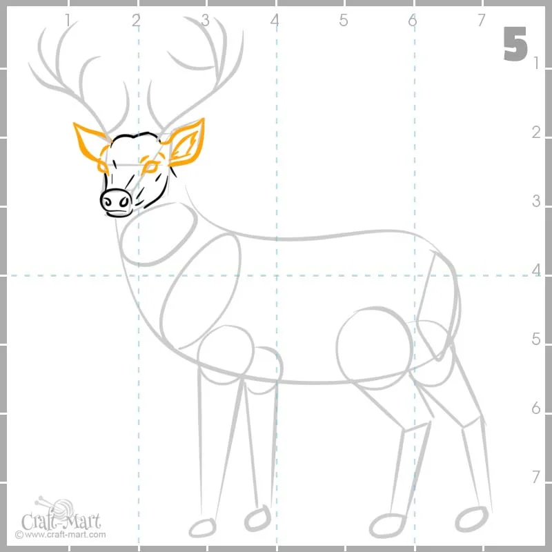 drawing deer's eyes and ears