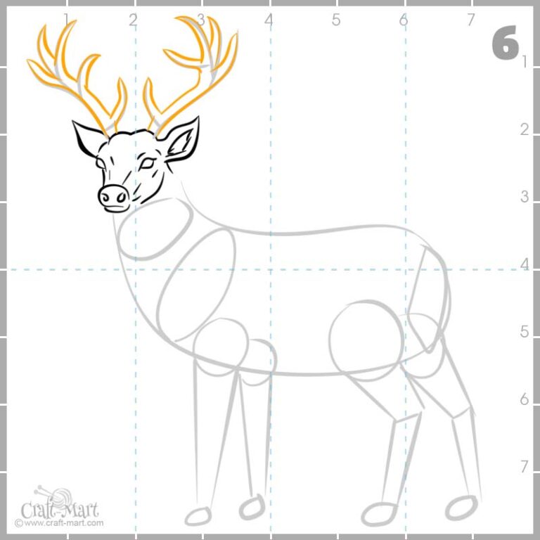 Drawing a deer in 10 steps easy tutorial CraftMart