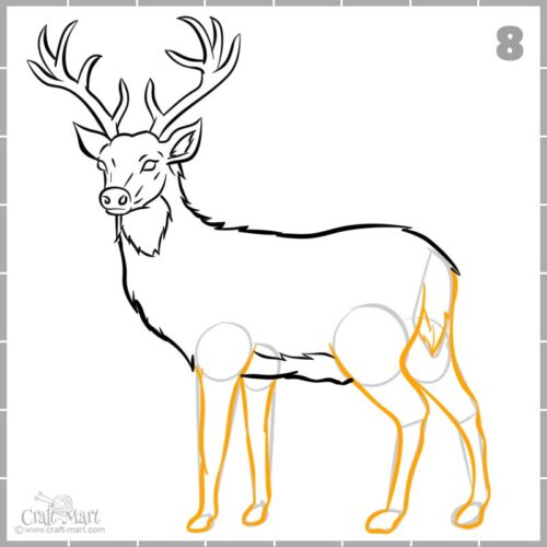 Drawing a deer in 10 steps - easy tutorial - Craft-Mart