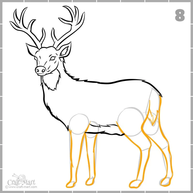 drawing final outlines of deer's legs