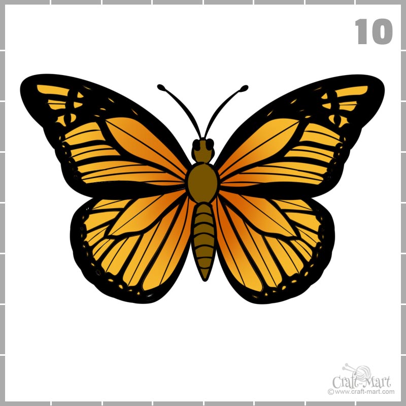 Butterfly Drawing Color Clip Art - Butterfly Drawing With Color, HD Png  Download , Transparent Png Image - PNGitem