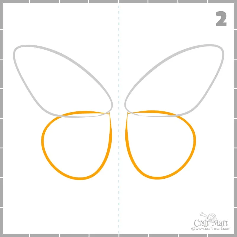 How to draw butterfly hindwings