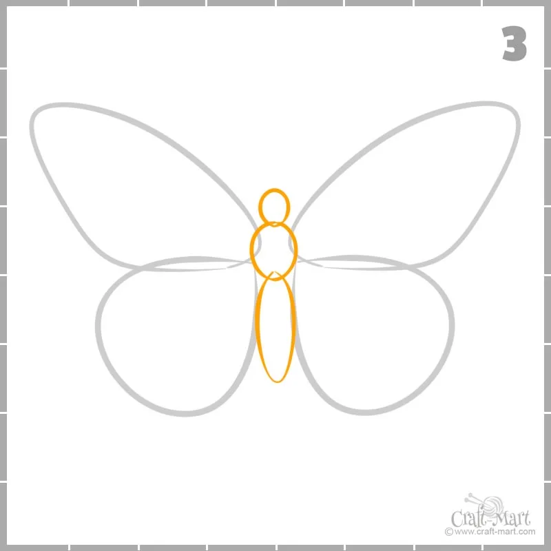 How to draw butterfly body