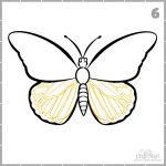 How to draw a butterfly step by step easy and fast - Craft-Mart