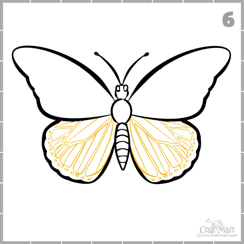 draw butterfly wings pattern