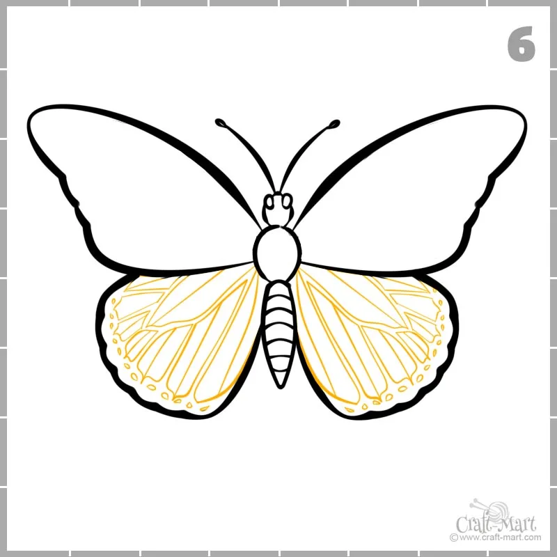 draw butterfly wings pattern