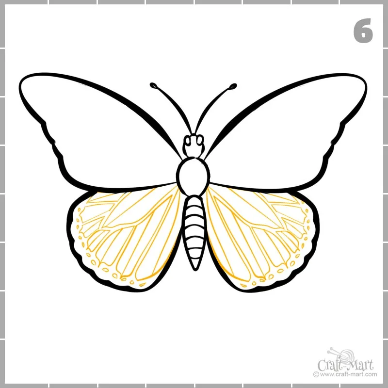 How to Draw a Butterfly – A Step-by-Step Tutorial – Artlex