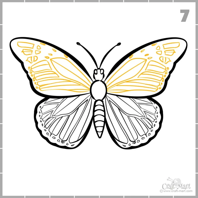 draw butterfly wings pattern