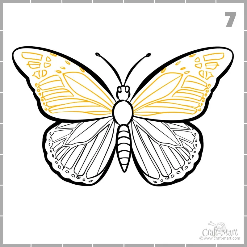 How to Draw a Butterfly Step by Step - Smiling Colors