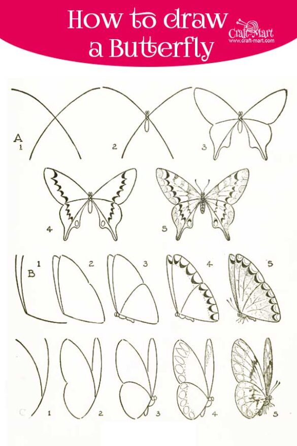 How to draw a butterfly step by step easy and fast CraftMart