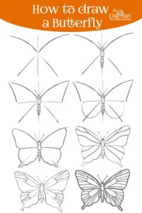 drawing a butterfly in 8 steps