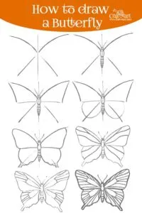 drawing a butterfly in 8 steps