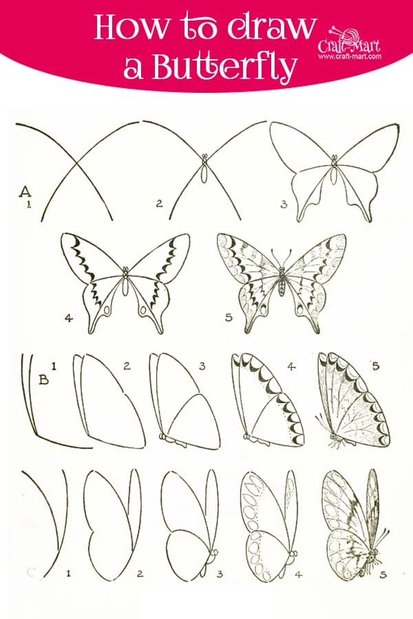 How to Draw a Butterfly (Easy Step by Step) - Crafty Morning