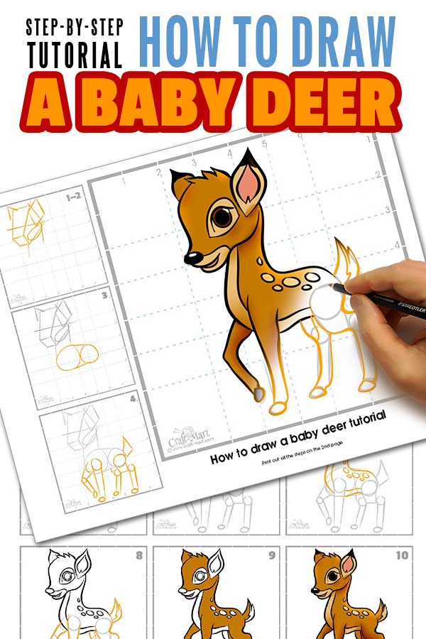 Drawing a deer in 10 steps - easy tutorial - Craft-Mart