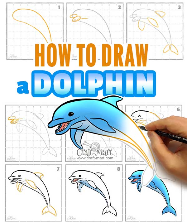 draw a cartoon dolphin - Clip Art Library