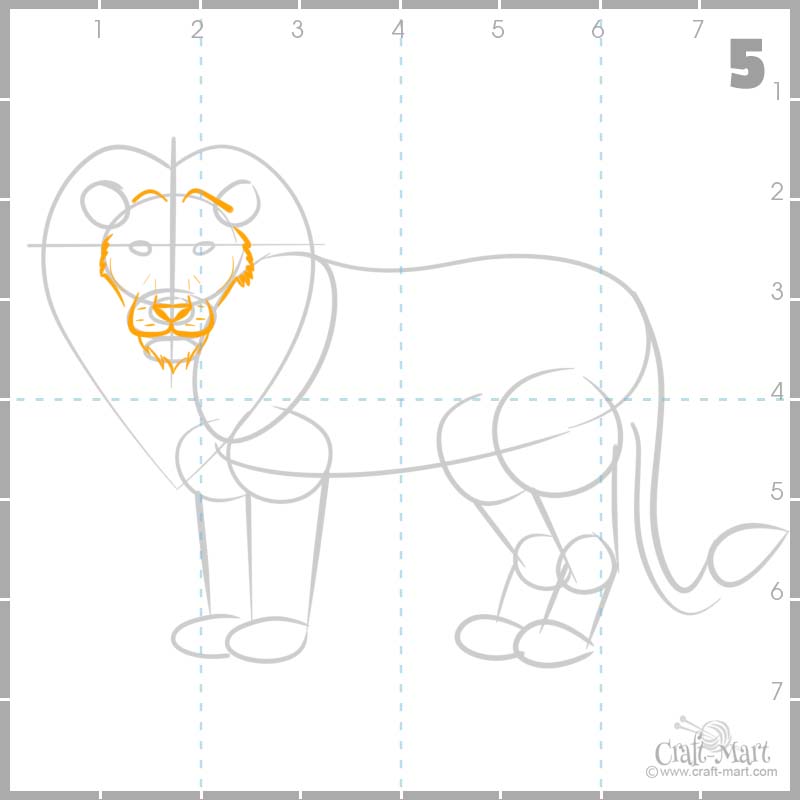 Detailing the lion's face