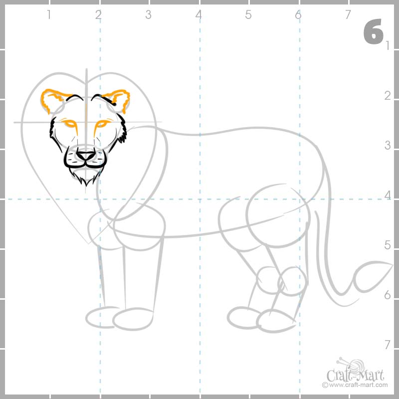 how to draw a baby lion step by step