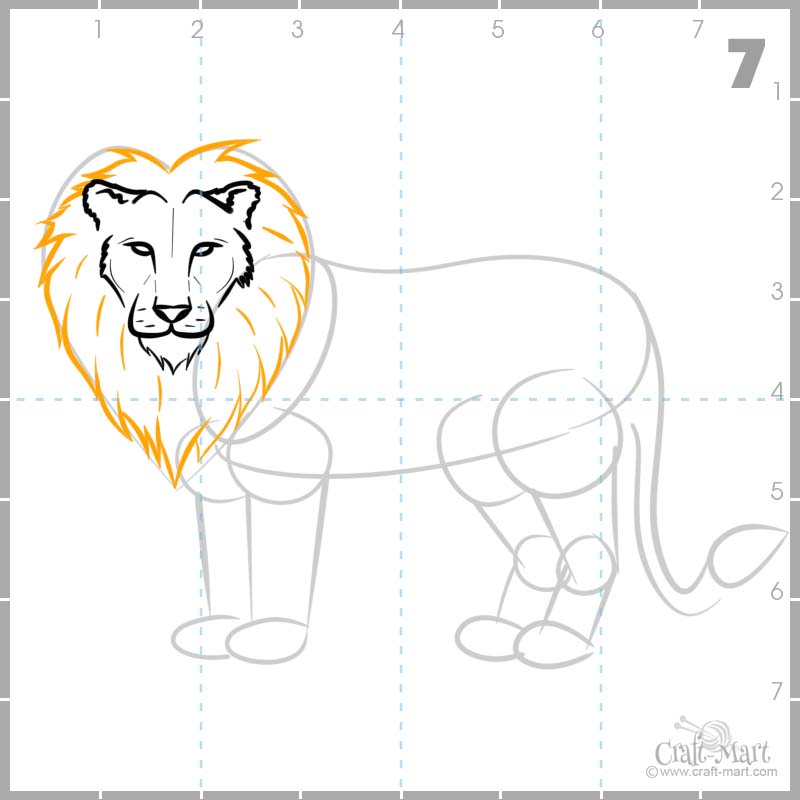 Drawing Lion's mane