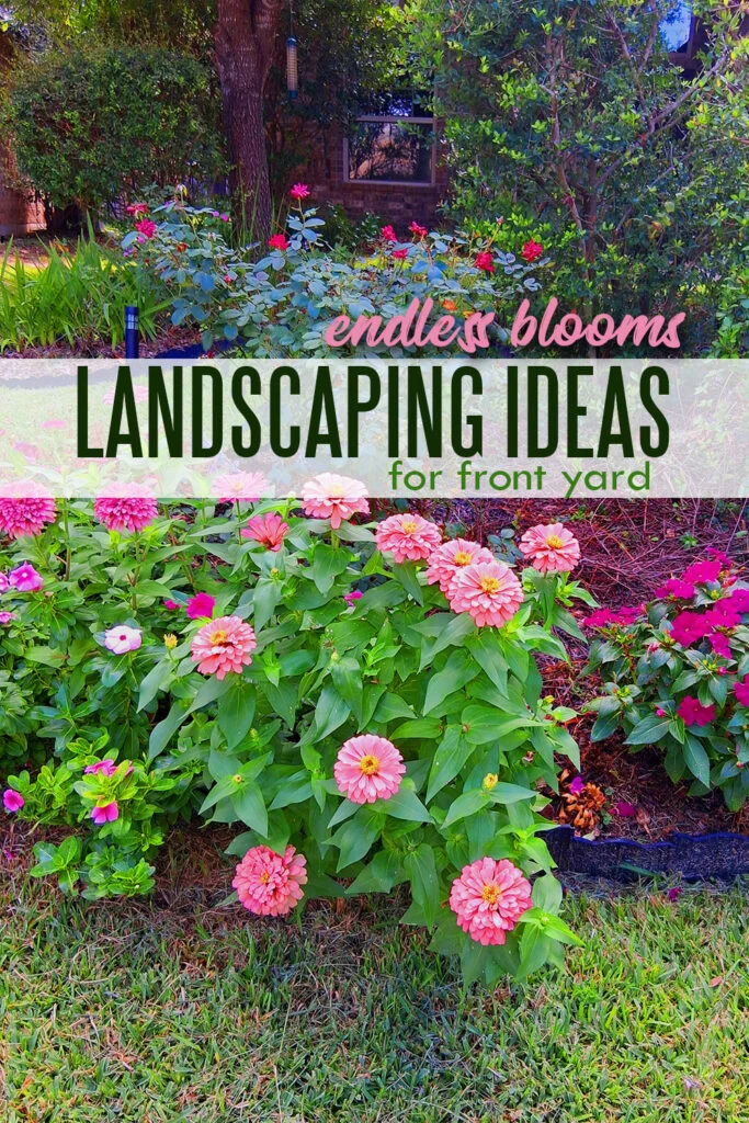 endless blooms flower garden