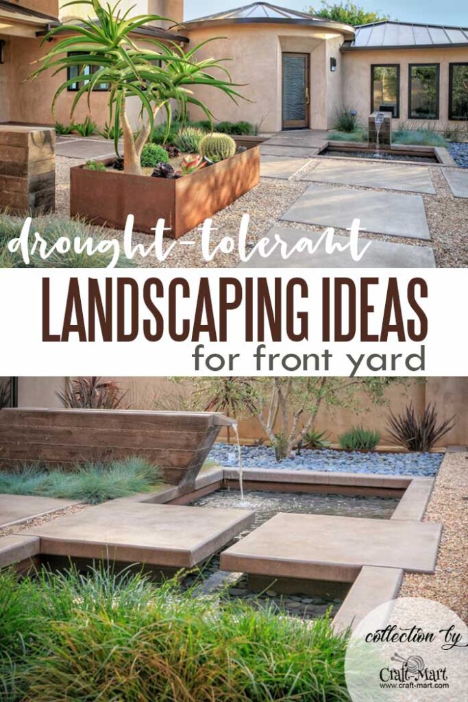 Contemporary drought-tolerant front yard
