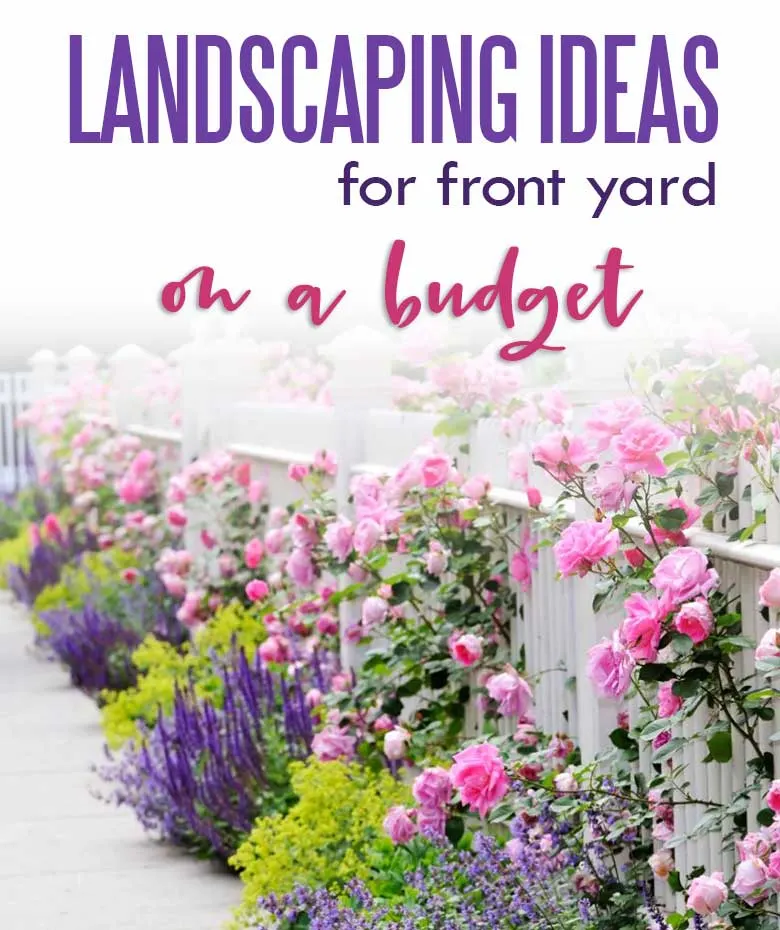 landscaping ideas for front yard on a budget