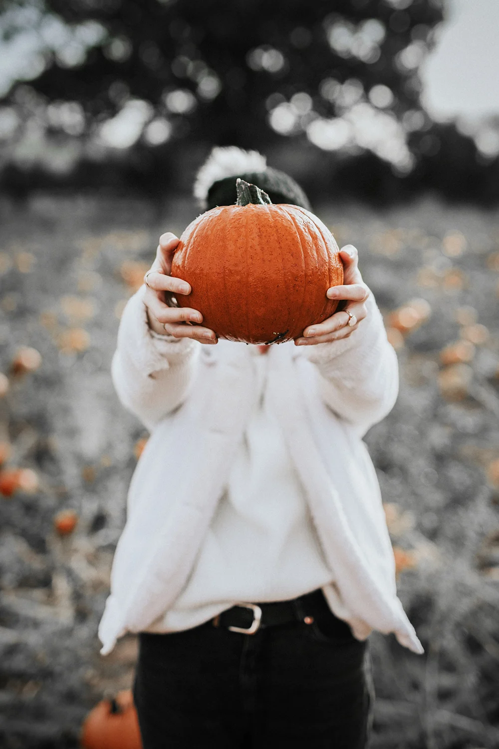 easy small porch fall decor